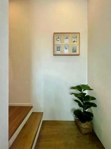 บ้าน 3 ห้องนอนพร้อมเฟอร์นิเจอร์ให้เช่า ใกล้กาดฝรั่ง แม่ริม, เชียงใหม่, แม่สา, แม่ริม, เชียงใหม่, 151 ตร.ม., บ้านเดี่ยว ให้เช่า, โดย ISAAC WEE, 500636646 - DDproperty.com