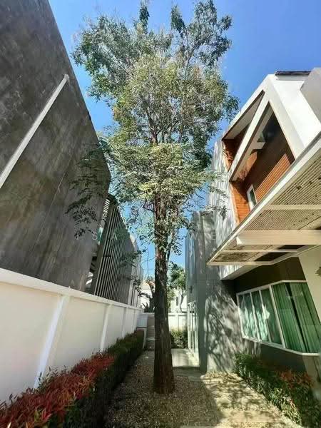 บ้าน 3 ห้องนอนพร้อมเฟอร์นิเจอร์ให้เช่า ใกล้กาดฝรั่ง แม่ริม, เชียงใหม่, แม่สา, แม่ริม, เชียงใหม่, 151 ตร.ม., บ้านเดี่ยว ให้เช่า, โดย ISAAC WEE, 500636646 - DDproperty.com