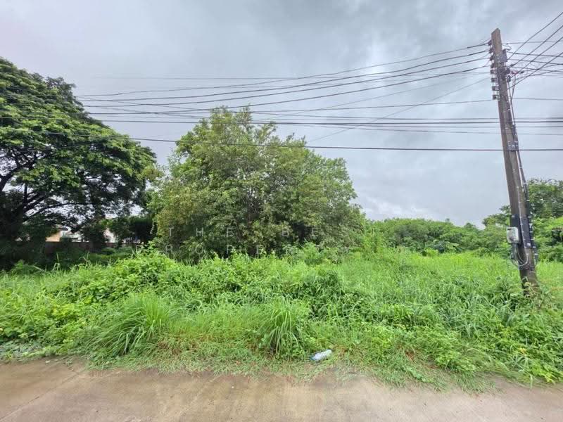 ที่ดินคลองสวนพลู พระนครศรีอยุธยา, Phra Nakhon Si Ayutthaya, Khlong Suan Plu, Phra Nakhon Sri Ayutthaya, Phra Nakhon Si Ayutthaya, , 396 sqm, Land For Sale, by The Best Property พี, 500636686 - DDproperty.com