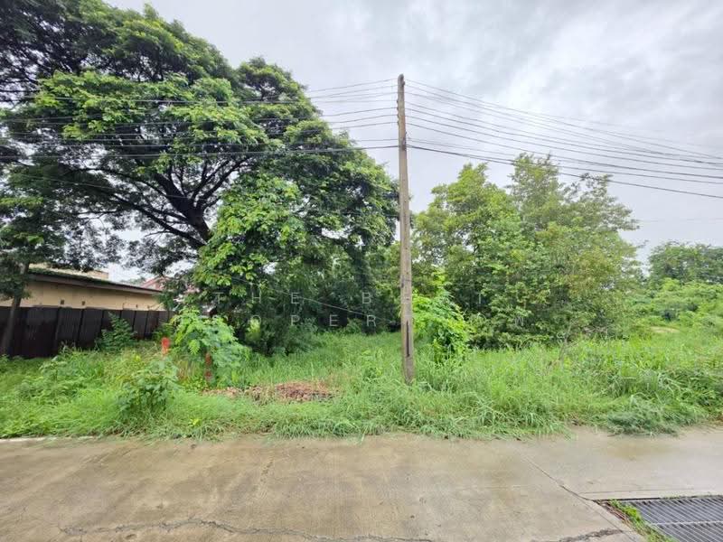 ที่ดินคลองสวนพลู พระนครศรีอยุธยา, Phra Nakhon Si Ayutthaya, Khlong Suan Plu, Phra Nakhon Sri Ayutthaya, Phra Nakhon Si Ayutthaya, , 396 sqm, Land For Sale, by The Best Property พี, 500636686 - DDproperty.com