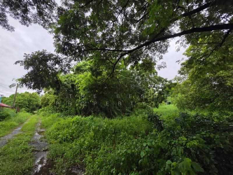 ที่ดินคลองสวนพลู พระนครศรีอยุธยา, Phra Nakhon Si Ayutthaya, Khlong Suan Plu, Phra Nakhon Sri Ayutthaya, Phra Nakhon Si Ayutthaya, , 396 sqm, Land For Sale, by The Best Property พี, 500636686 - DDproperty.com