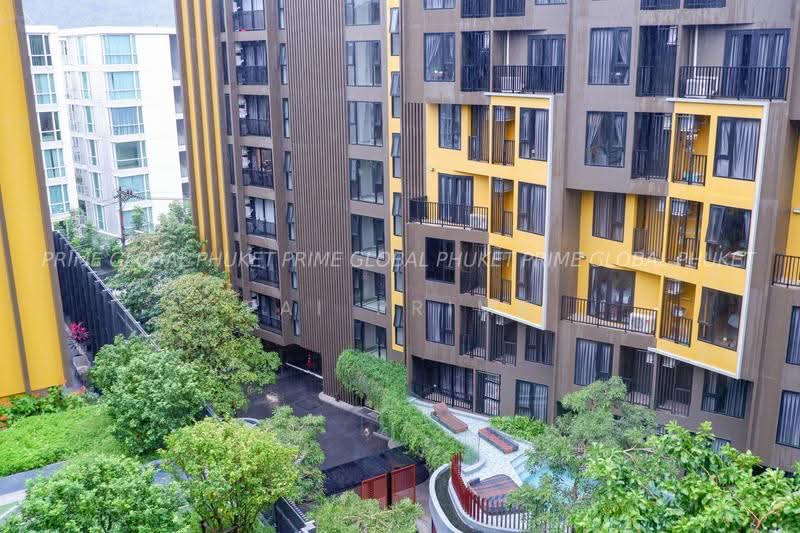The Base Central, Phuket, Chao Fah Tawan Tok Rd, Wichit, Muang Phuket, Phuket, 1 Bedroom, 29 sqm, Condo For Rent, by fai prime, 500636849 - DDproperty.com