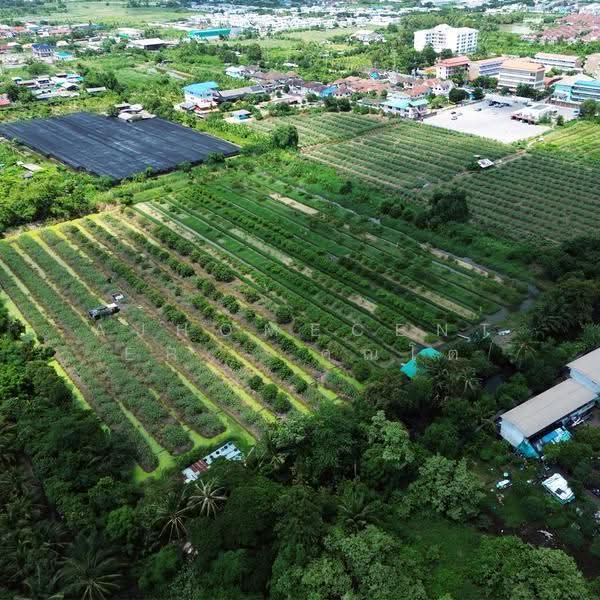 ที่ดินเปล่า64-1-49.3ไร่ หน้าวัดศรีนวล, Bangkok, Nong Kham, Nong Khaem, Bangkok, , 102,996 sqm, Land For Sale, by AJHOMECENTER - คุณโต, 500637108 - DDproperty.com