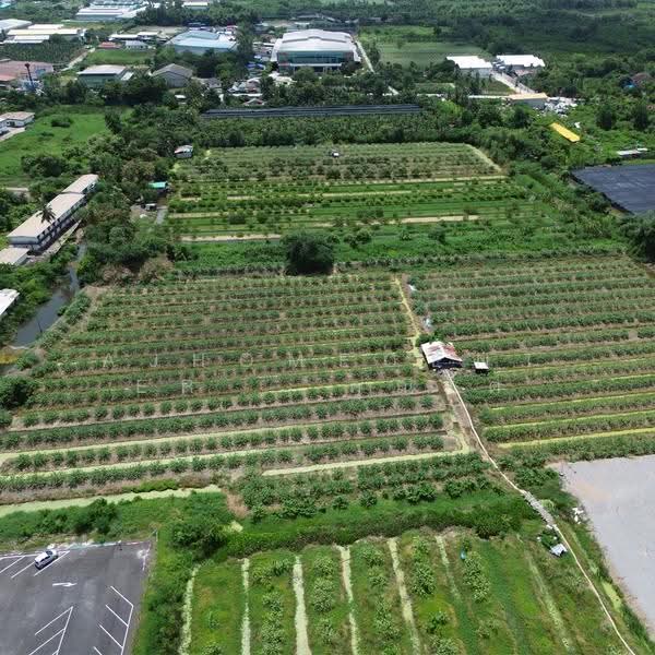 ที่ดินเปล่า64-1-49.3ไร่ หน้าวัดศรีนวล, กรุงเทพ, หนองแขม, กรุงเทพ, 102,996 ตร.ม., ที่ดิน ขาย, โดย AJHOMECENTER - คุณโต, 500637108 - DDproperty.com