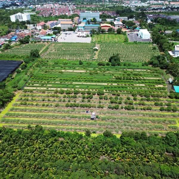 ที่ดินเปล่า64-1-49.3ไร่ หน้าวัดศรีนวล, Bangkok, Nong Kham, Nong Khaem, Bangkok, , 102,996 sqm, Land For Sale, by AJHOMECENTER - คุณโต, 500637108 - DDproperty.com
