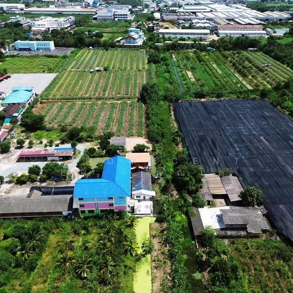 ที่ดินเปล่า64-1-49.3ไร่ หน้าวัดศรีนวล, กรุงเทพ, หนองแขม, กรุงเทพ, 102,996 ตร.ม., ที่ดิน ขาย, โดย AJHOMECENTER - คุณโต, 500637108 - DDproperty.com