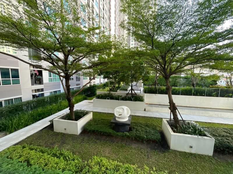 Aspire Rama 4, Bangkok, Rama 4 Road, Phra Kanong, Khlong Toei, Bangkok, 1 Bedroom, 28 sqm, Condo For Rent, by Khun Toey เตย, 500637281 - DDproperty.com