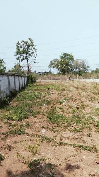 Massive Vacant Land, Udon Thani-Ban Phue Rd, Khueanam, Ban Phue, Udon Thani, ถนนอุดรธานี-บ้านผือ, Khua Nam, Ban Phu, Udon Thani, , 96,136 sqm, Land For Sale, by Kulaya Thanapura, 500637346 - DDproperty.com