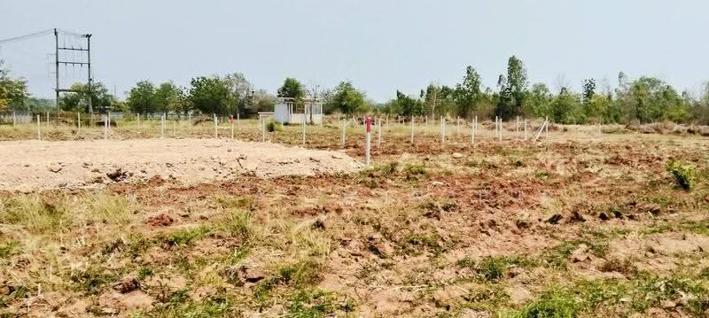 Massive Vacant Land, Udon Thani-Ban Phue Rd, Khueanam, Ban Phue, Udon Thani, ถนนอุดรธานี-บ้านผือ, Khua Nam, Ban Phu, Udon Thani, , 96,136 sqm, Land For Sale, by Kulaya Thanapura, 500637346 - DDproperty.com