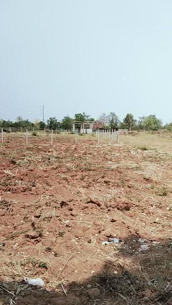 Massive Vacant Land, Udon Thani-Ban Phue Rd, Khueanam, Ban Phue, Udon Thani, ถนนอุดรธานี-บ้านผือ, Khua Nam, Ban Phu, Udon Thani, , 96,136 sqm, Land For Sale, by Kulaya Thanapura, 500637346 - DDproperty.com