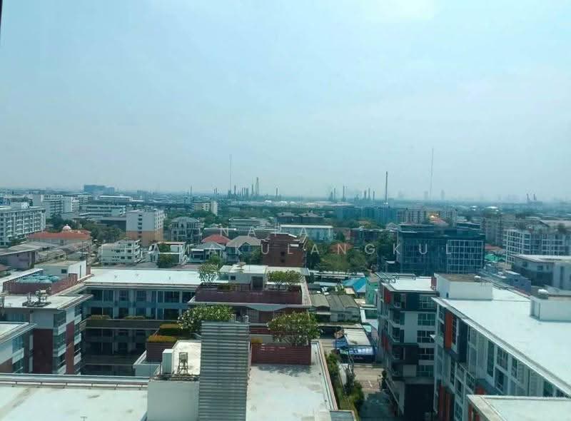 The Room Sukhumvit 62, Bangkok, 2288 Sukhumvit Road, Bang Chak, Phra Khanong, Bangkok, 1 Bedroom, 45 sqm, Condo For Rent, by Napat Thamakulangkul, 500637429 - DDproperty.com