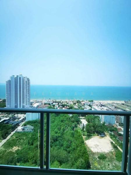 The Riviera Jomtien : เดอะ ริเวียร่า จอมเทียน, ชลบุรี, ถนนพัทยาสาย 2, หนองปรือ, บางละมุง, ชลบุรี, 35 ตร.ม., คอนโด ขาย, โดย Patchara Srisak, 500637618 - DDproperty.com