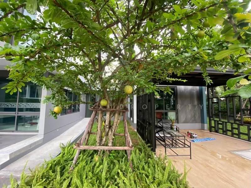 Setthasiri Thawiwatthana, Bangkok, Sala Thammasop Road, Sala Thammasop, Thawi Watthana, Bangkok, 4 Bedrooms, 354 sqm, Single Detached House For Sale, by Connex Property, 500638253 - DDproperty.com