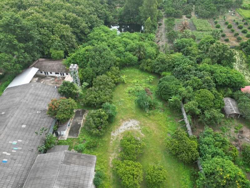 LAND FOR SALE: 5+ RAI ON HIGHWAY 108, CHIANG MAI Includes 1,400 SQ.M. Warehouse Only THB 12Million, Chiang Mai, 108, Sop Tia, Chom Thong, Chiang Mai, , 2,110 sqm, Warehouse/Factory For Sale, by นายมานพ วุฒฒเจริญ, 500638649 - DDproperty.com