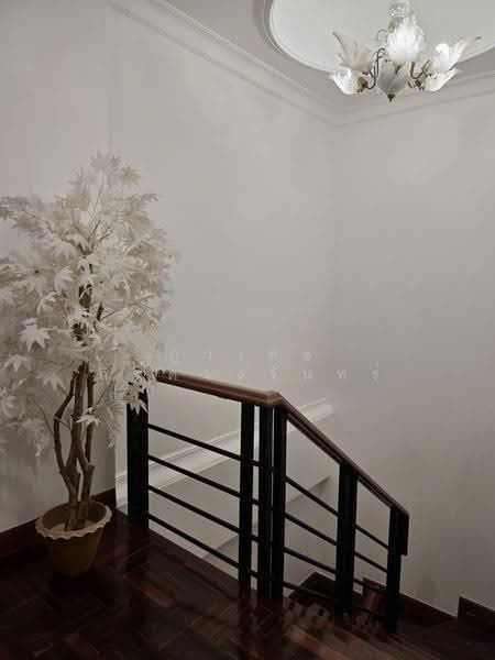 เสริมสุข, Bangkok, Chatuchak, Bangkok, 4 Bedrooms, 336 sqm, Townhouse For Rent, by ภูวเดช ถิ่นดวงจันทร์, 500638771 - DDproperty.com