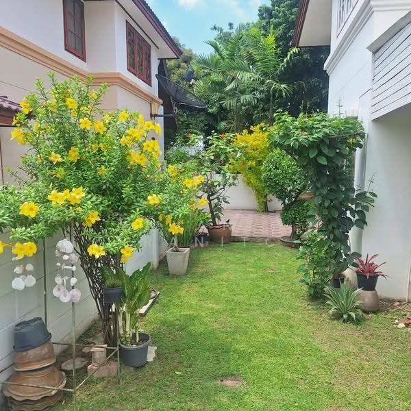 หมู่บ้าน 2521 สวนผัก44, Bangkok, สวนผัก, Chim Plee, Taling Chan, Bangkok, 3 Bedrooms, 135 sqm, Single Detached House For Sale, by Anyanee Norranitchaiyakul, 500638794 - DDproperty.com