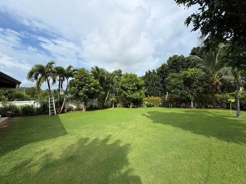 Land and house Hillside 88, Phuket, Chalong, Muang Phuket, Phuket, 4 Bedrooms, 250 sqm, Single Detached House For Rent, by Sorranat Tassananusorn, 500638920 - DDproperty.com
