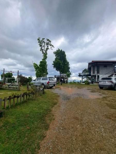 Khao Kho, Phetchabun Province, Phetchabun, Khao Kho, Phetchabun, 1 Bedroom, 6,400 sqm, Single Detached House For Sale, by ศิริภัสสร โชติประยูรศักดิ์, 500638933 - DDproperty.com