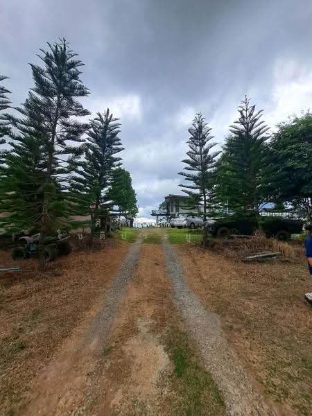 Khao Kho, Phetchabun Province, Phetchabun, Khao Kho, Phetchabun, 1 Bedroom, 6,400 sqm, Single Detached House For Sale, by ศิริภัสสร โชติประยูรศักดิ์, 500638933 - DDproperty.com