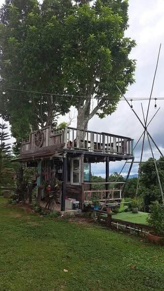 Khao Kho, Phetchabun Province, Phetchabun, Khao Kho, Phetchabun, 1 Bedroom, 6,400 sqm, Single Detached House For Sale, by ศิริภัสสร โชติประยูรศักดิ์, 500638933 - DDproperty.com