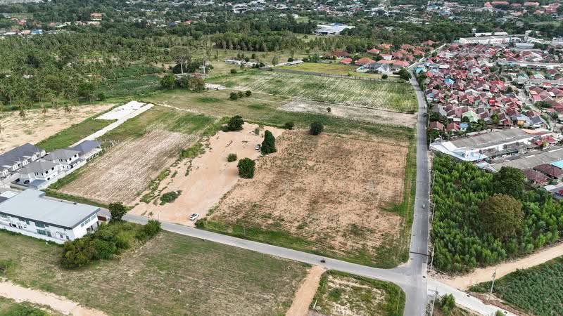 Land for sale, 10-1-36.7 rai Nong Pla Lai - Bang Lamung, Chon Buri (Pattaya), Nong Pla Lai, Bang Lamung (Pattaya), Chon Buri (Pattaya), , 16,547 sqm, Land For Sale, by ตะวัน ขันเงิน, 500639030 - DDproperty.com