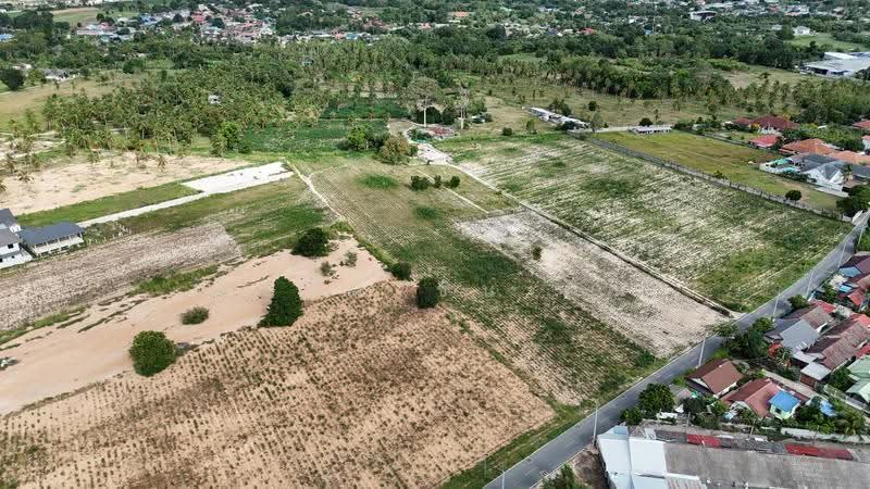 Land for sale, 10-1-36.7 rai Nong Pla Lai - Bang Lamung, Chon Buri (Pattaya), Nong Pla Lai, Bang Lamung (Pattaya), Chon Buri (Pattaya), , 16,547 sqm, Land For Sale, by ตะวัน ขันเงิน, 500639030 - DDproperty.com