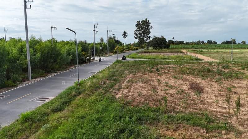 Land for sale, 10-1-36.7 rai Nong Pla Lai - Bang Lamung, Chon Buri (Pattaya), Nong Pla Lai, Bang Lamung (Pattaya), Chon Buri (Pattaya), , 16,547 sqm, Land For Sale, by ตะวัน ขันเงิน, 500639030 - DDproperty.com