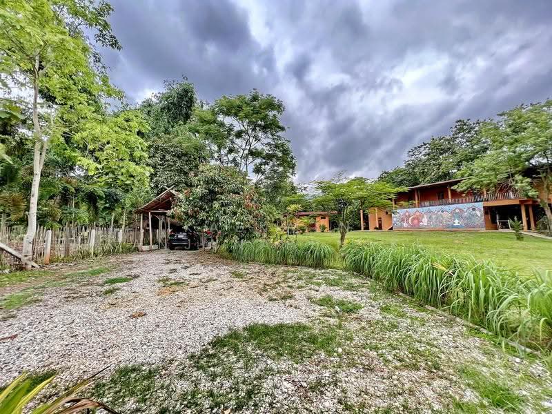 Large Property on 3 Rai for Sale in Nang Lae, Chiang Rai (CB46), Chiang Rai, Nang Lae, Muang Chiang Rai, Chiang Rai, , 614 sqm, Business For Rent, by Kaekwun Kanjanapungka, 500639389 - DDproperty.com