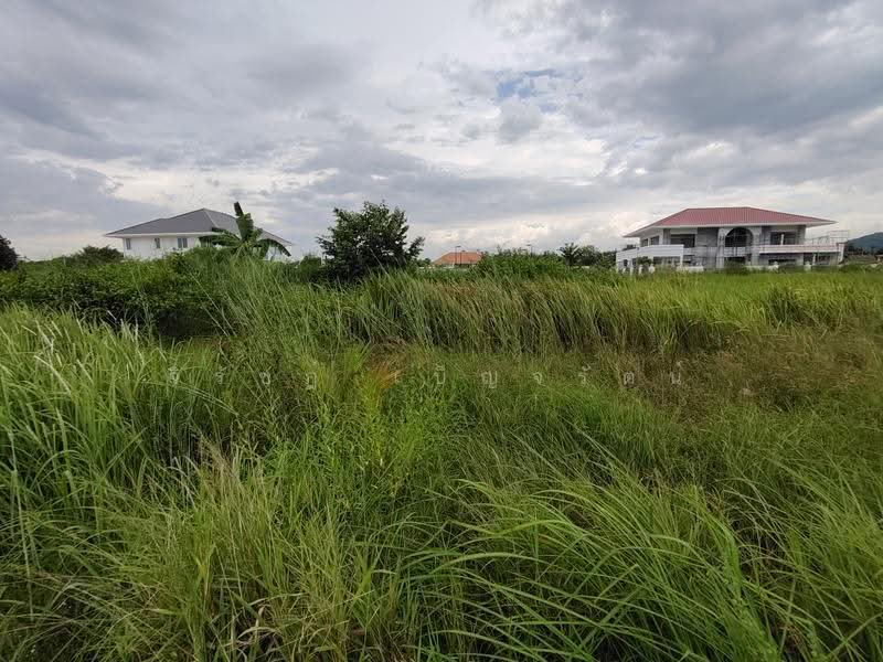 ที่ดินสำหรับสร้างบ้านขนาด 1 ไร่ – วิวภูเขาและทำเลชั้นเยี่ยมใกล้สนามกอล์ฟแบล็คเมาน์เทน, ประจวบคีรีขันธ์, หินเหล็กไฟ, หัวหิน, ประจวบคีรีขันธ์, 1,600 ตร.ม., ที่ดิน ขาย, โดย จิรัชฎ์ เบ็ญจรัตน์, 500639532 - DDproperty.com