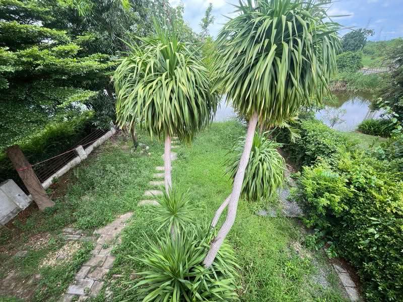 บ้านเดี่ยวหมู่บ้านเลคการ์เด้น ลากูน่า, Chachoengsao, Khlong Luang Phaeng, Muang Chachoengsao, Chachoengsao, 3 Bedrooms, 300 sqm, Single Detached House For Sale, by ปุณญพร ศรีหะรัญ, 500639865 - DDproperty.com