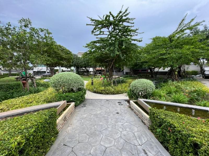 Baan Klang Muang Ratchada-Wongsawang : บ้านกลางเมือง รัชดา-วงศ์สว่าง, นนทบุรี, ถนนพิบูลสงคราม, บางเขน, เมืองนนทบุรี, นนทบุรี, 160 ตร.ม., ทาวน์เฮ้าส์ ขาย, โดย THE LIVING HUB, 500639957 - DDproperty.com