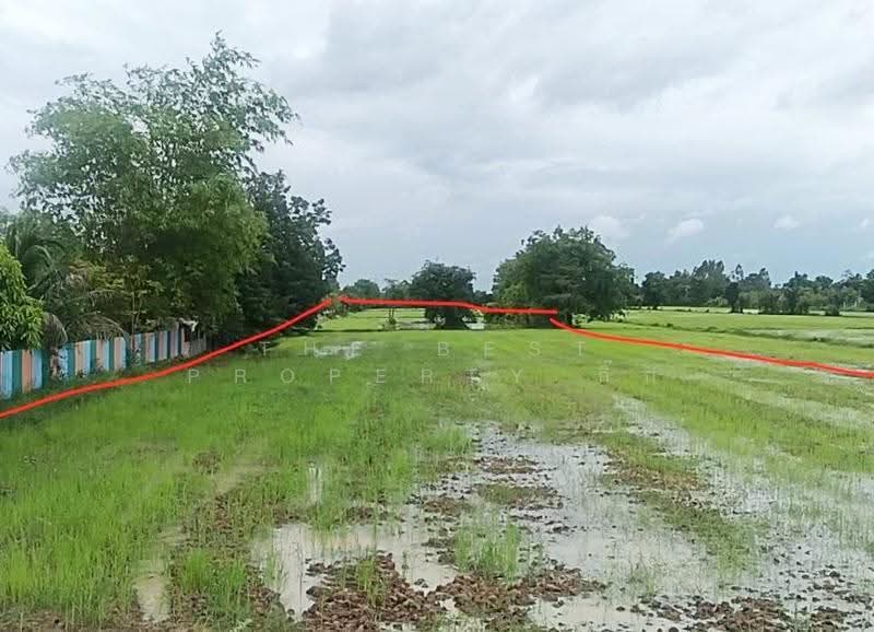 ที่ดินดอนเจดีย์ สุพรรณบุรี, Suphan Buri, Thale Bok, Don Chedi, Suphan Buri, , 16,088 sqm, Land For Sale, by The Best Property กิ๊ก, 500640532 - DDproperty.com