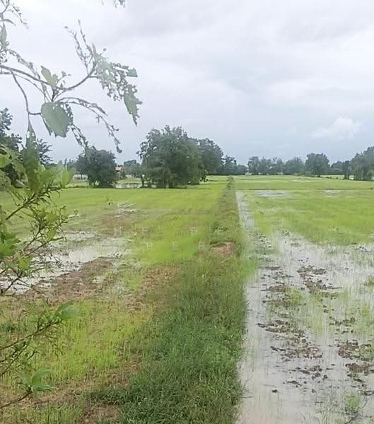 ที่ดินดอนเจดีย์ สุพรรณบุรี, Suphan Buri, Thale Bok, Don Chedi, Suphan Buri, , 16,088 sqm, Land For Sale, by The Best Property กิ๊ก, 500640532 - DDproperty.com