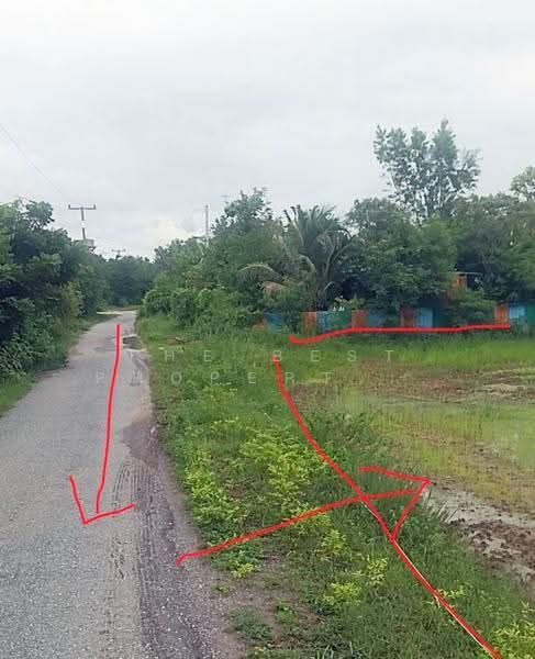 ที่ดินดอนเจดีย์ สุพรรณบุรี, Suphan Buri, Thale Bok, Don Chedi, Suphan Buri, , 16,088 sqm, Land For Sale, by The Best Property กิ๊ก, 500640532 - DDproperty.com
