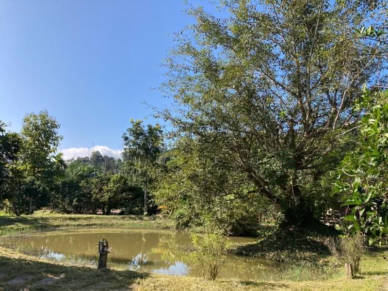 บ้านเดี่ยวพร้อมที่ดินแม่แตง เชียงใหม่, เชียงใหม่, สบเปิง, แม่แตง, เชียงใหม่, 850 ตร.ม., บ้านเดี่ยว ขาย, โดย The Best Property บอย, 500640766 - DDproperty.com