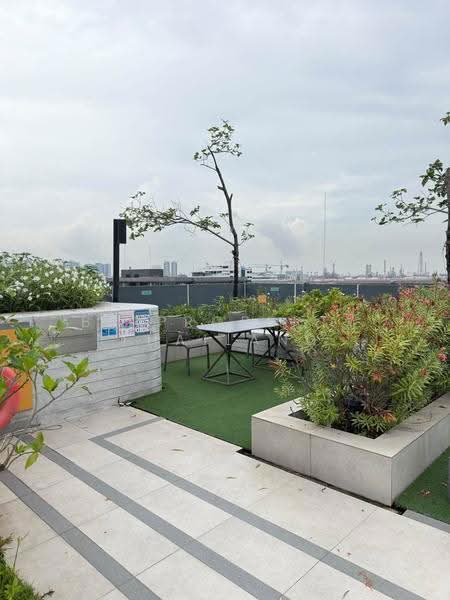 Plum Condo Sukhumvit 62 : พลัมคอนโด สุขมวิท 62, กรุงเทพ, ซอยสุขุมวิท 62, บางจาก, พระโขนง, กรุงเทพ, 29 ตร.ม., คอนโด ให้เช่า, โดย BR Property Thailand, 500640841 - DDproperty.com