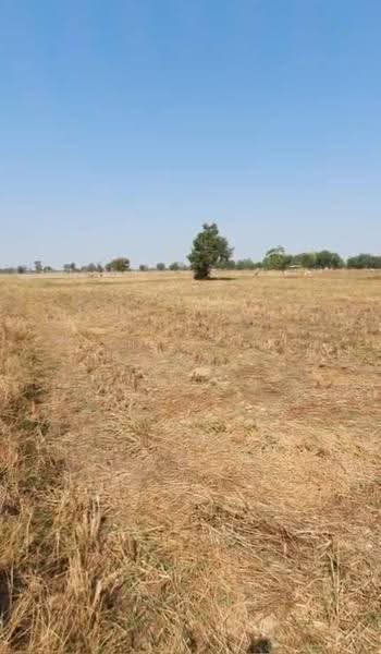 ที่ดินห้วยราช บุรีรัมย์, Buri Ram, Ban Tako, Huai Rat, Buri Ram, , 17,440 sqm, Land For Sale, by The Best Property ต้อม, 500640902 - DDproperty.com