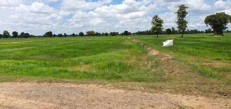 ที่ดินห้วยราช บุรีรัมย์, Buri Ram, Ban Tako, Huai Rat, Buri Ram, , 17,440 sqm, Land For Sale, by The Best Property ต้อม, 500640902 - DDproperty.com