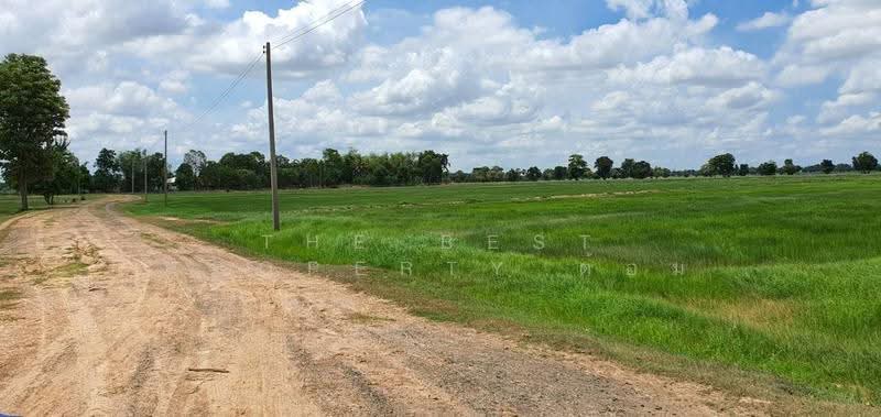 ที่ดินห้วยราช บุรีรัมย์, Buri Ram, Ban Tako, Huai Rat, Buri Ram, , 17,440 sqm, Land For Sale, by The Best Property ต้อม, 500640902 - DDproperty.com