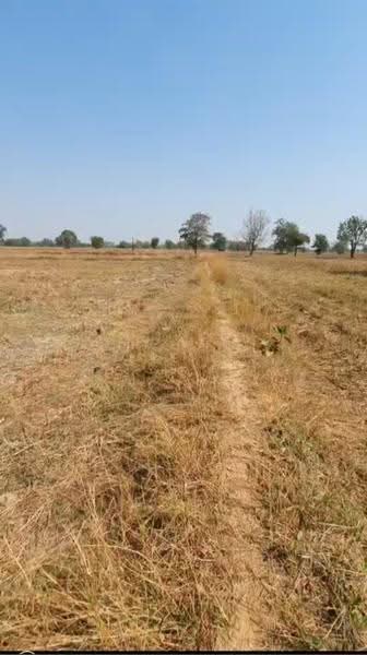 ที่ดินห้วยราช บุรีรัมย์, Buri Ram, Ban Tako, Huai Rat, Buri Ram, , 17,440 sqm, Land For Sale, by The Best Property ต้อม, 500640902 - DDproperty.com