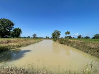 ขาย - ที่ดินบ้านไผ่ ขอนแก่น, ขอนแก่น