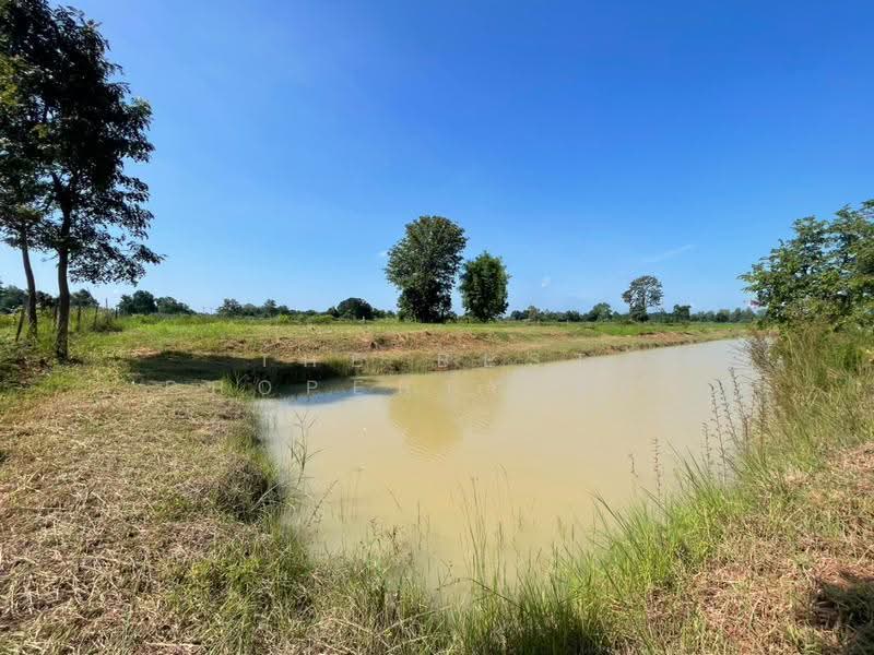 ที่ดินบ้านไผ่ ขอนแก่น, ขอนแก่น, บ้านไผ่, ขอนแก่น, 11,108 ตร.ม., ที่ดิน ขาย, โดย The Best Property อัคร, 500640944 - DDproperty.com