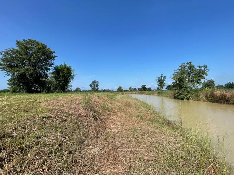 ที่ดินบ้านไผ่ ขอนแก่น, ขอนแก่น, บ้านไผ่, ขอนแก่น, 11,108 ตร.ม., ที่ดิน ขาย, โดย The Best Property อัคร, 500640944 - DDproperty.com