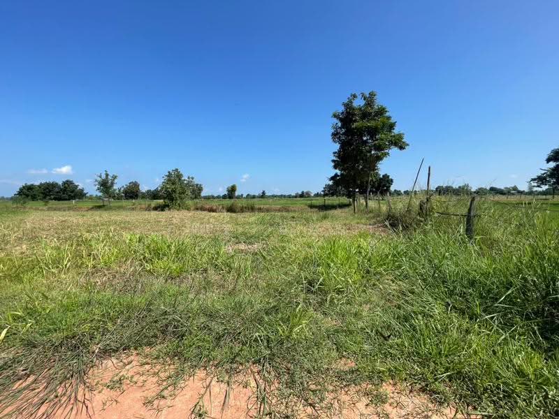ที่ดินบ้านไผ่ ขอนแก่น, Khon Kaen, Ban Phai, Khon Kaen, , 11,108 sqm, Land For Sale, by The Best Property อัคร, 500640944 - DDproperty.com