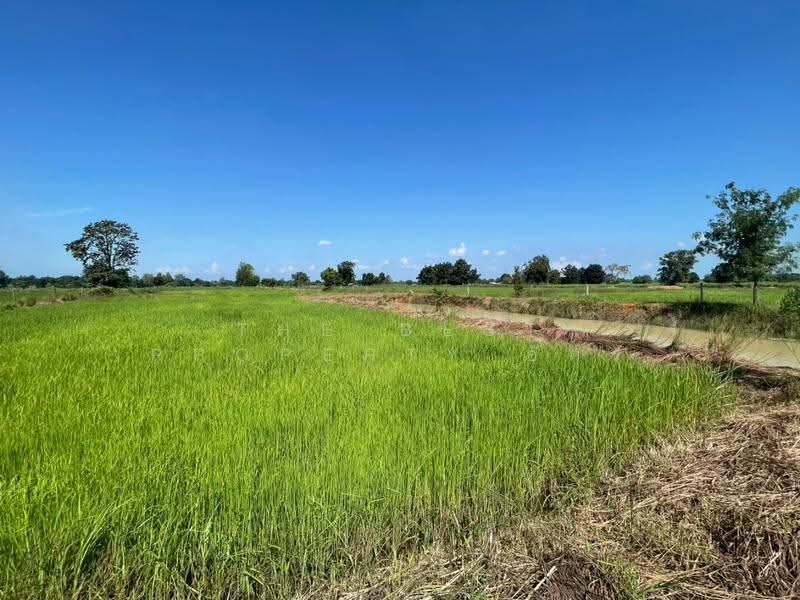 ที่ดินบ้านไผ่ ขอนแก่น, Khon Kaen, Ban Phai, Khon Kaen, , 11,108 sqm, Land For Sale, by The Best Property อัคร, 500640944 - DDproperty.com