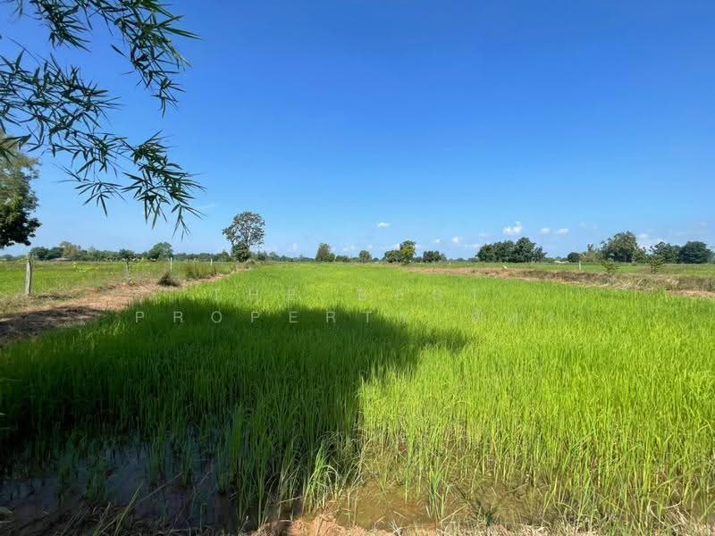 ที่ดินบ้านไผ่ ขอนแก่น, ขอนแก่น, บ้านไผ่, ขอนแก่น, 11,108 ตร.ม., ที่ดิน ขาย, โดย The Best Property อัคร, 500640944 - DDproperty.com