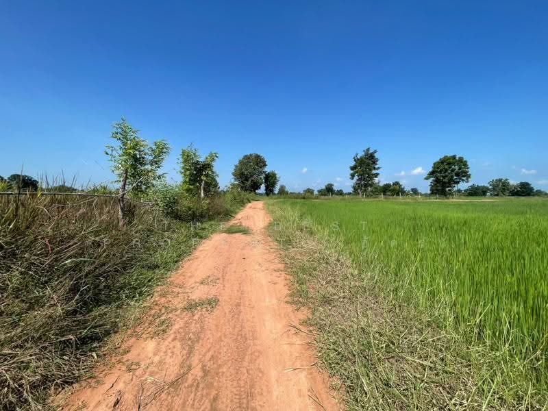 ที่ดินบ้านไผ่ ขอนแก่น, Khon Kaen, Ban Phai, Khon Kaen, , 11,108 sqm, Land For Sale, by The Best Property อัคร, 500640944 - DDproperty.com