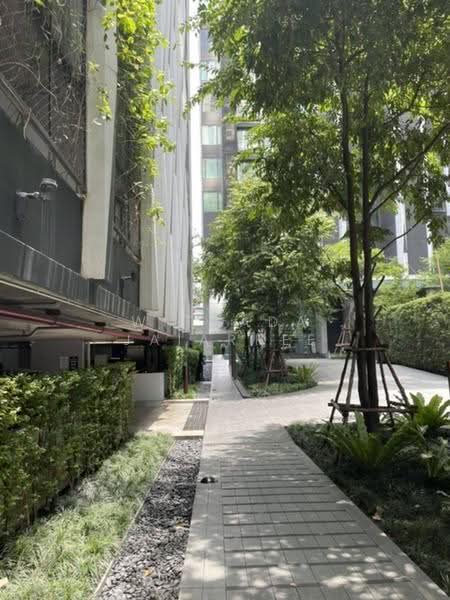 The Edge Sukhumvit 23 : เอดจ์ สุขุมวิท 23, กรุงเทพ, 6 ซอยสุขุมวิท 23, คลองเตยเหนือ, วัฒนา, กรุงเทพ, 34 ตร.ม., คอนโด ให้เช่า, โดย Withada Jaiarree, 500641013 - DDproperty.com