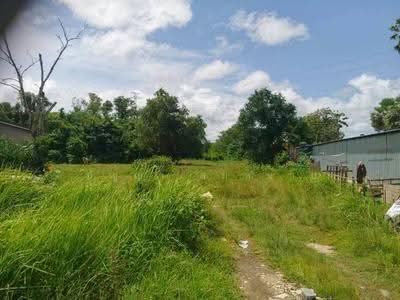 ขาย - ตำบลเทพกระษัตรี อำเภอถลาง จังหวัดภูเก็ต, ภูเก็ต