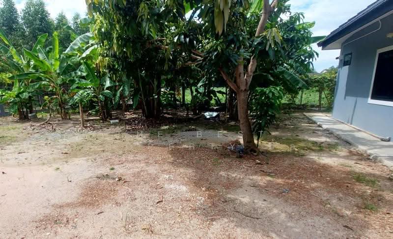 บ้านเดี่ยวพร้อมที่ดินเกาะจันทร์ ชลบุรี, Chon Buri (Pattaya), Tha Bunmi, Ko Chan, Chon Buri (Pattaya), 2 Bedrooms, 100 sqm, Single Detached House For Sale, by The Best Property อ้อ, 500641147 - DDproperty.com
